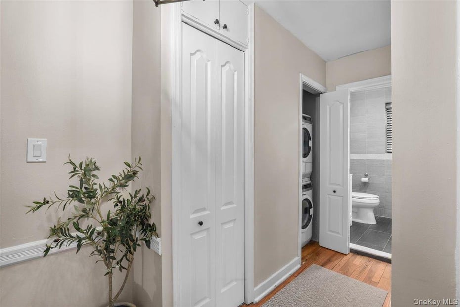 33 Manchester Road  #2R Photo 14