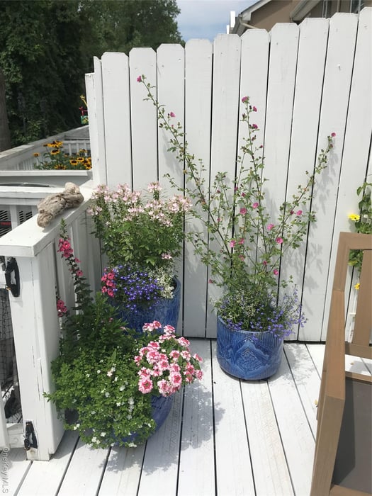 216 Gair Street Photo 28