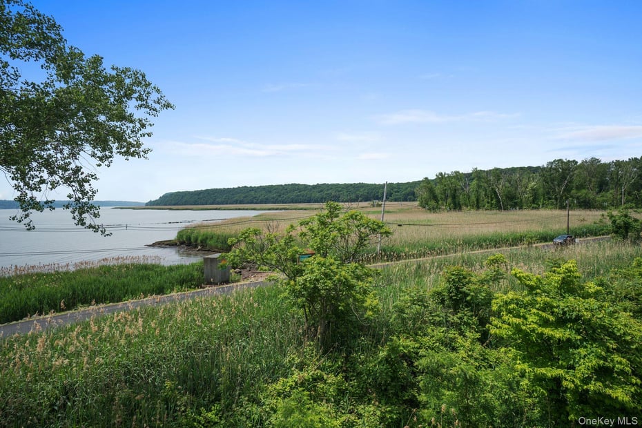 216 Gair Street Photo 35