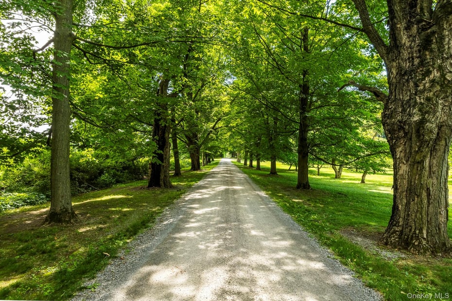 199 Eichybush Road Photo 3