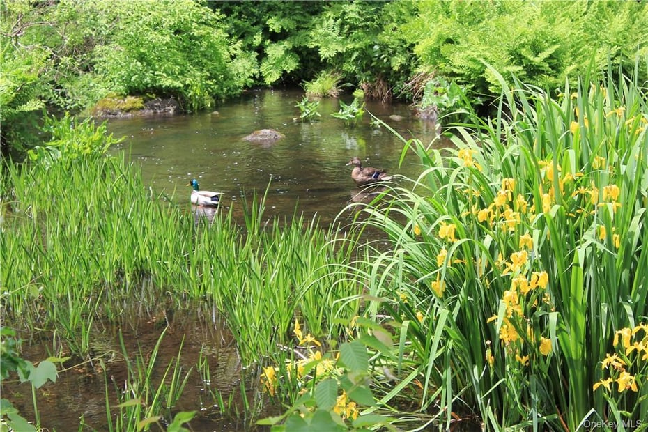 Rolling Meadow Lane Photo 8