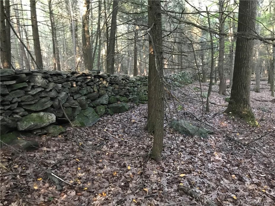 Rolling Meadow Lane Photo 10