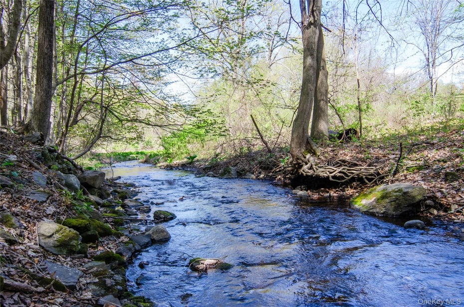 4317 Ny 23 Photo 8