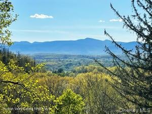 4317 Ny 23 Photo 5