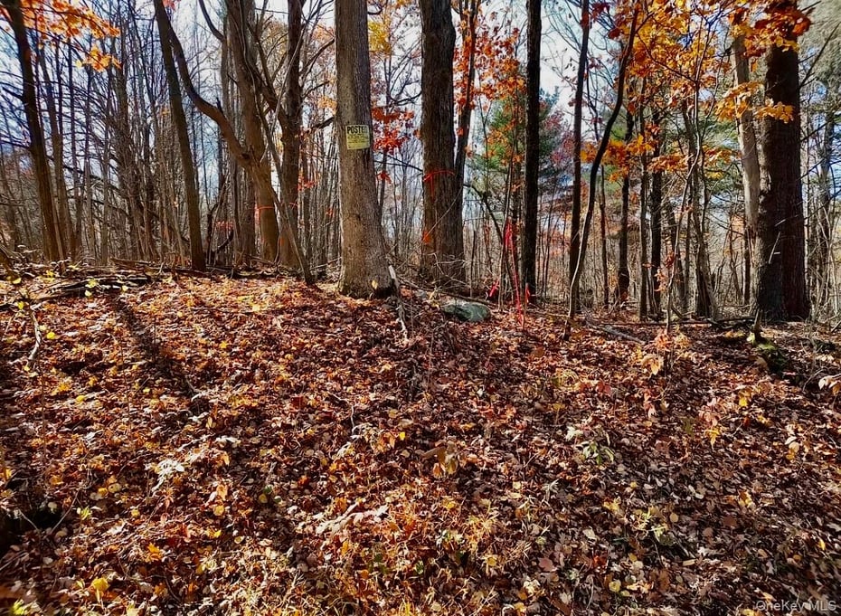 Manor Rock Road Photo 10