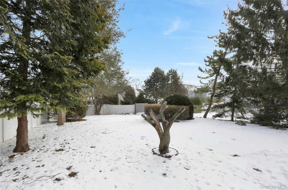 59 Sylvan Road Photo 27