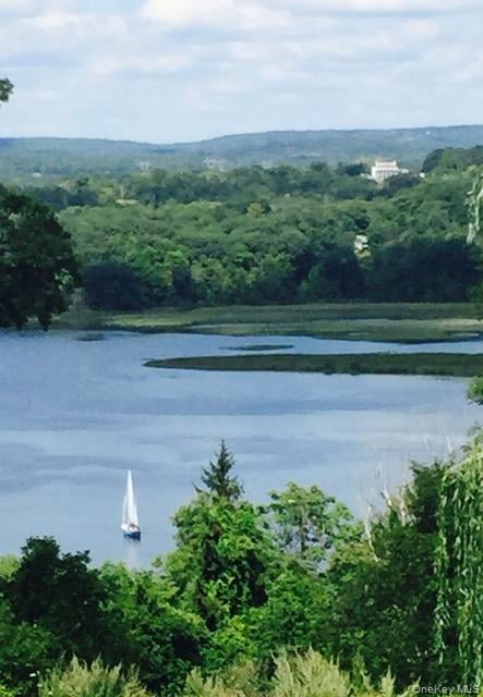 188 Mt Merino Road Photo 37