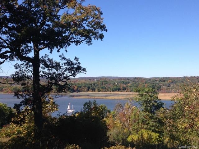 188 Mt Merino Road Photo 34