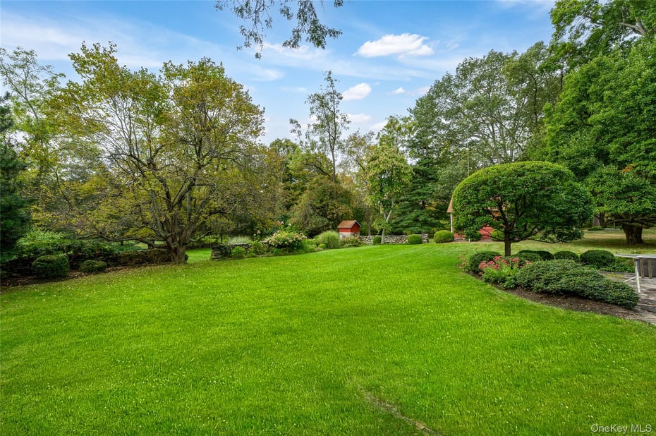 20 Mead Street Photo 29