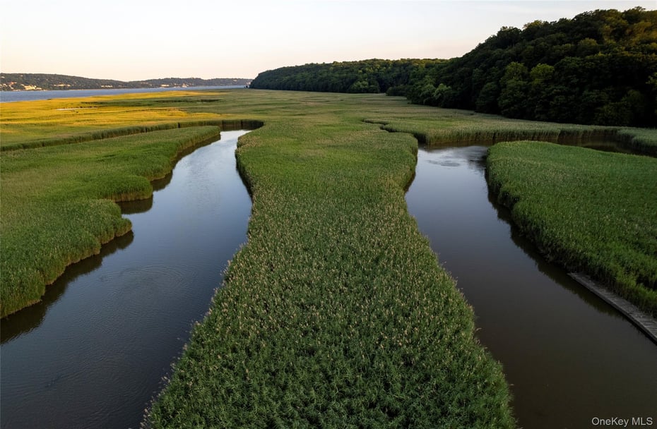 99 Paradise Avenue Photo 9