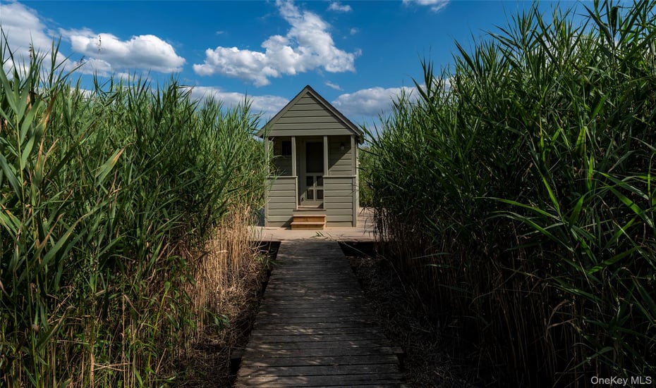 99 Paradise Avenue Photo 8