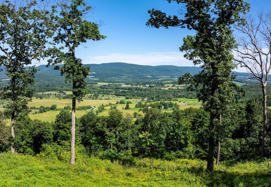 High Meadow Road Photo 2