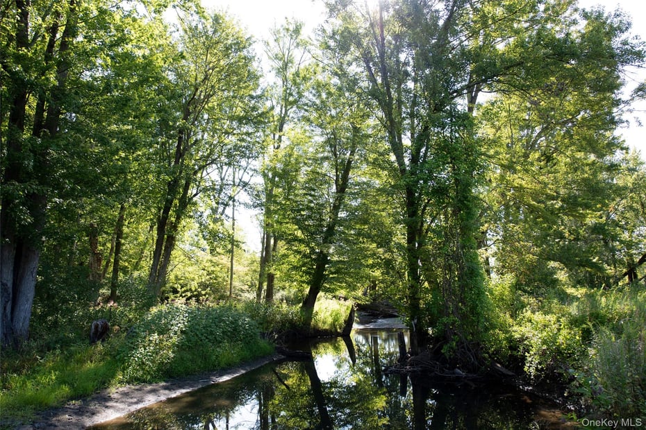 78 Waldorf Ridge Road Photo 49