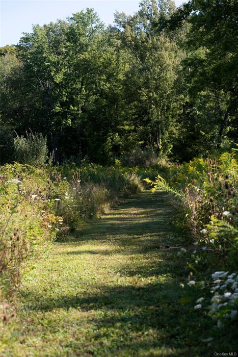 78 Waldorf Ridge Road Photo 14