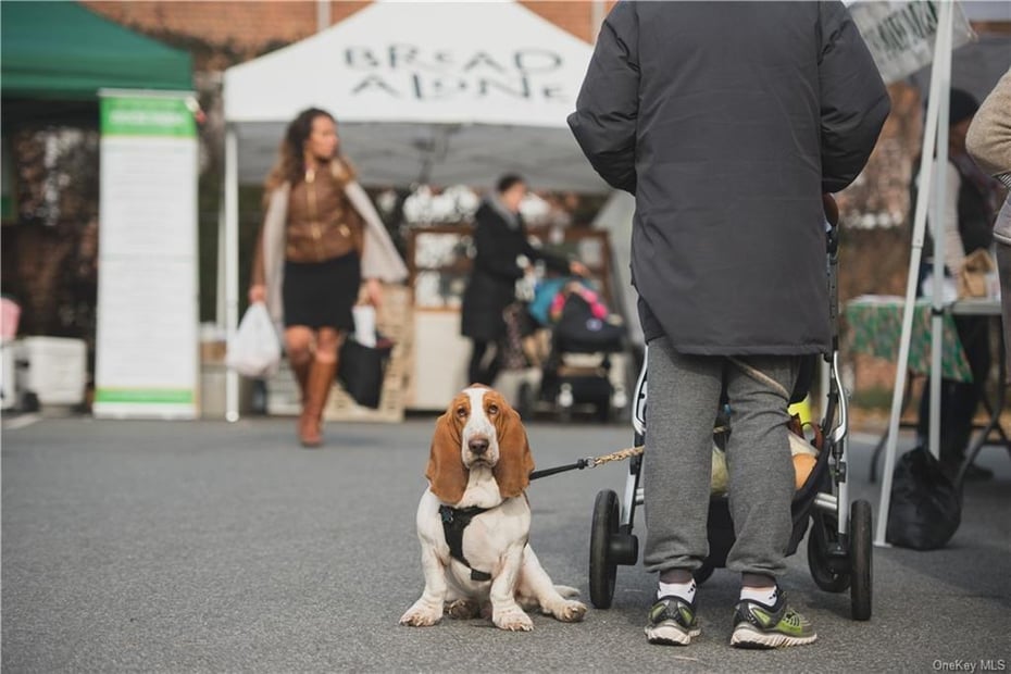 50 Burnside Drive Photo 39