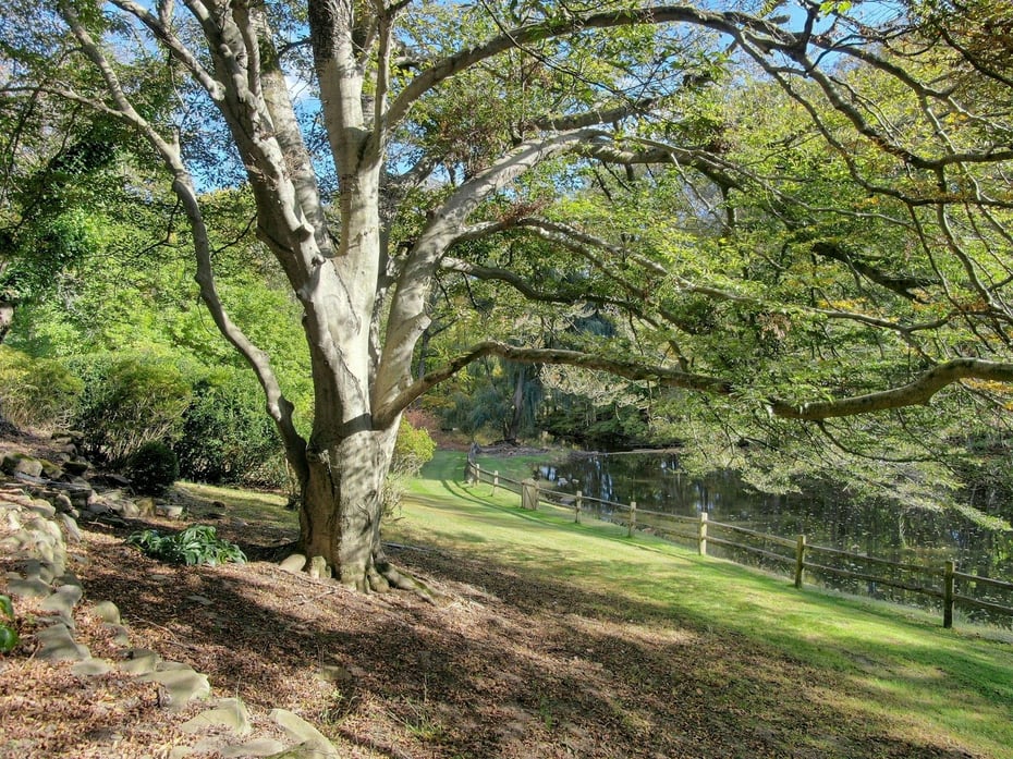 374 S Mountain Road Photo 8