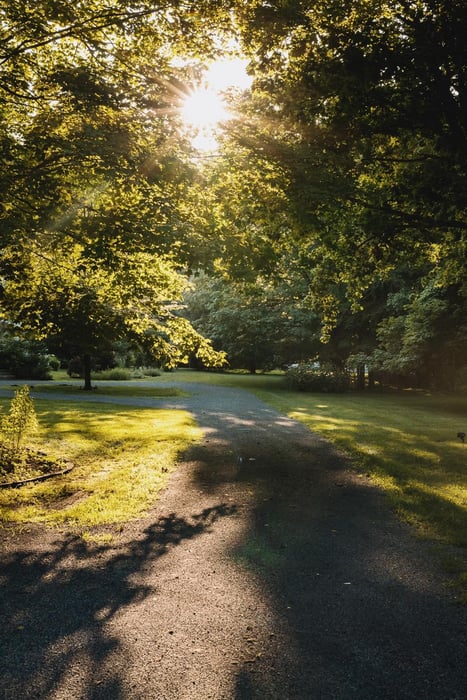 23 Lovers Lane Photo 38