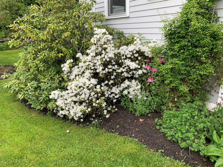 44 Weskora Avenue Photo 27