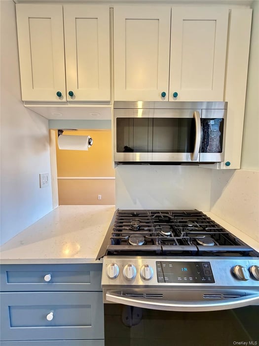 80 E Hartsdale  #621 Photo 4