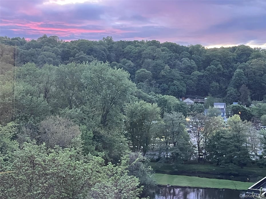 80 E Hartsdale  #621 Photo 26