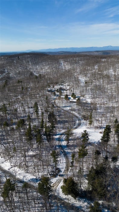 890 Bald Mountain Road Photo 43