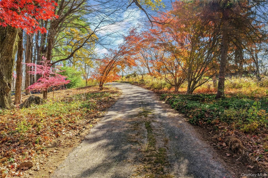 115 Old Roaring Brook Road Photo 8