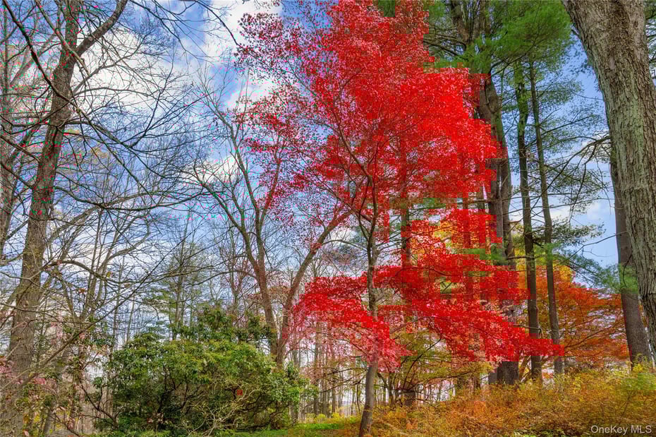 115 Old Roaring Brook Road Photo 19