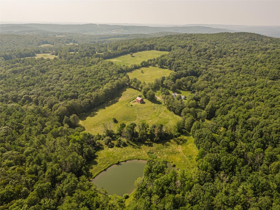 439 Kelly Road Photo 3