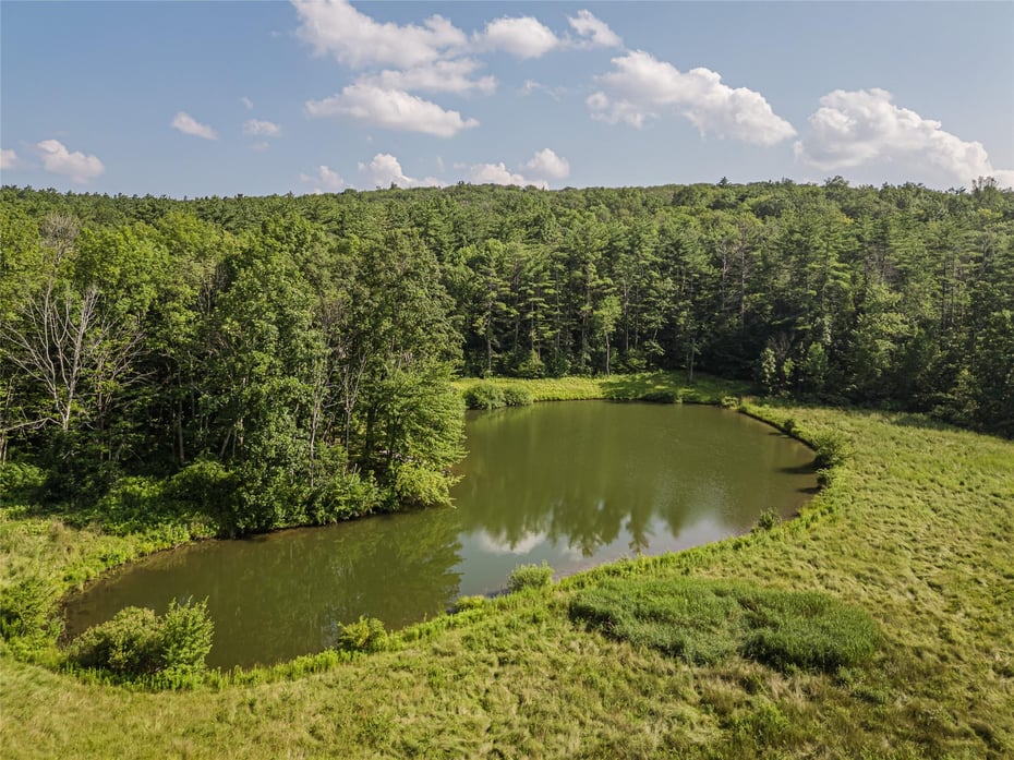 439 Kelly Road Photo 12
