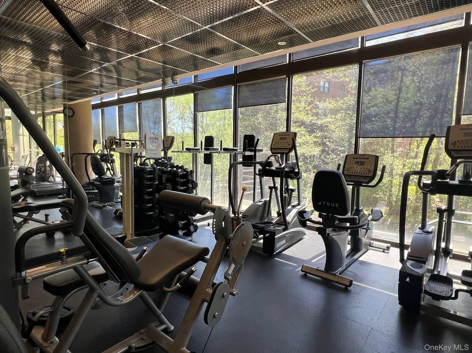 50 E Hartsdale Avenue  #1O Photo 15