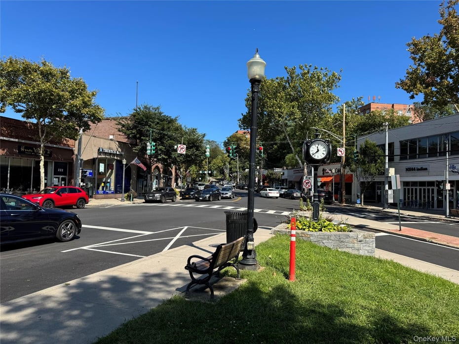 221 E Hartsdale Avenue Photo 4