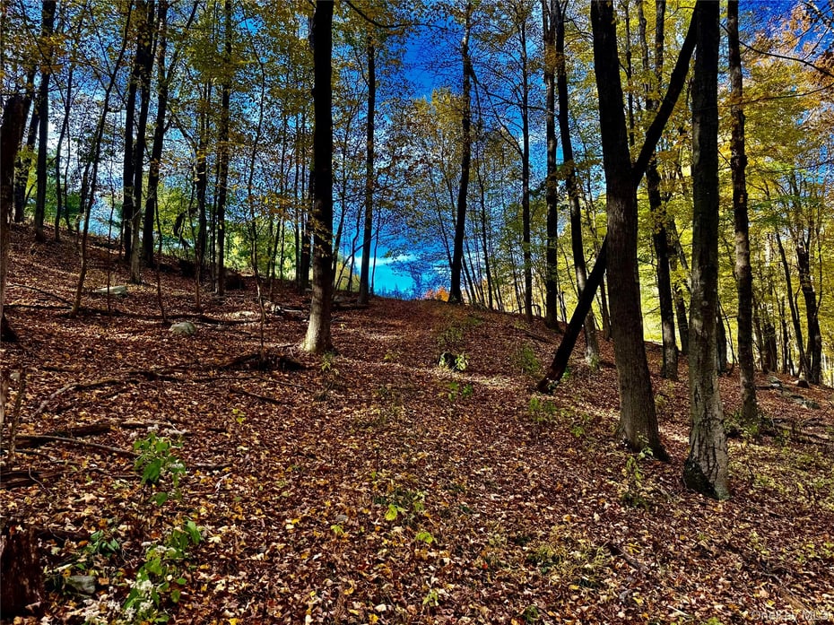 114 Old Barrington Road Photo 20