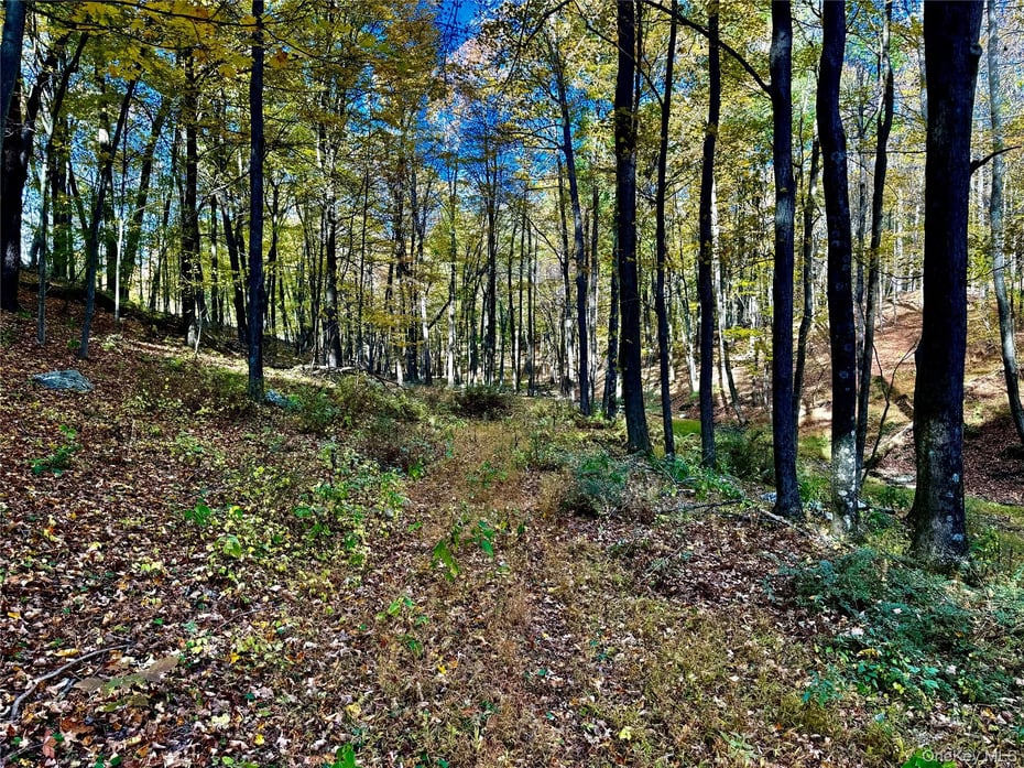 114 Old Barrington Road Photo 18