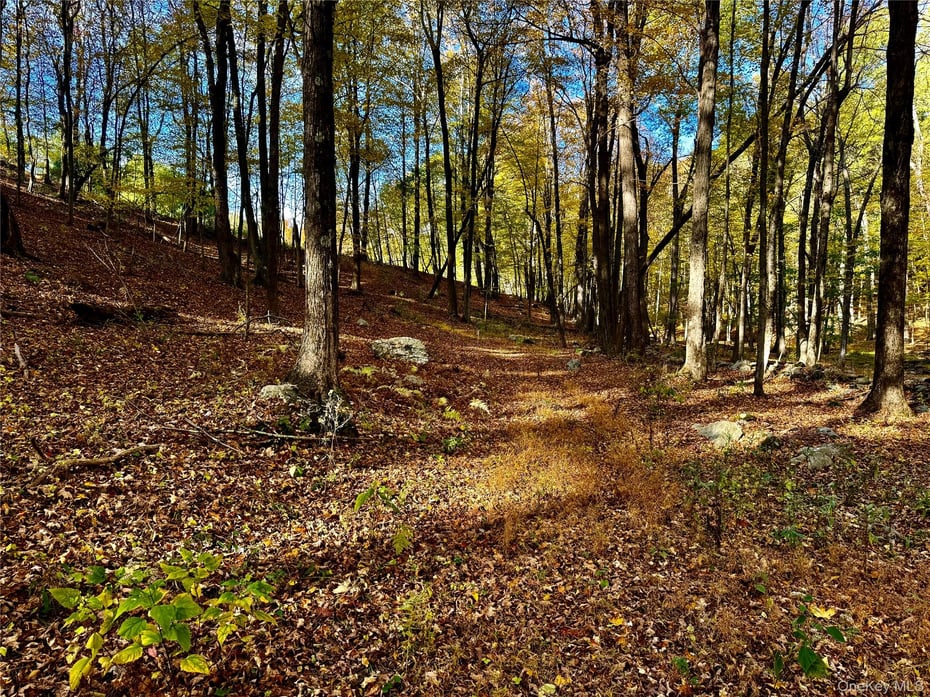 114 Old Barrington Road Photo 19