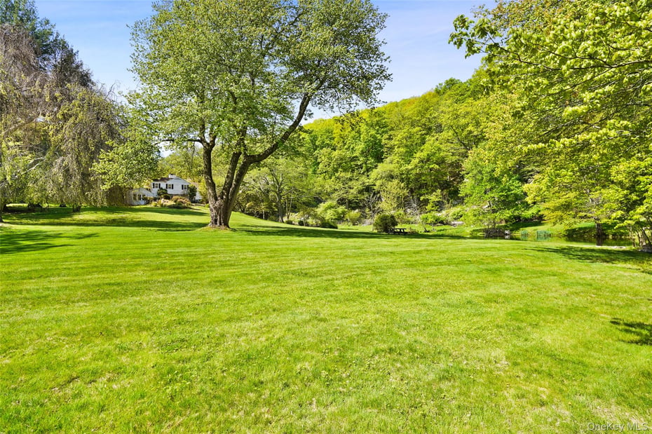 123 & 135 Mianus River Road Photo 2