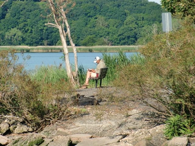 207 Devries Court Photo 35