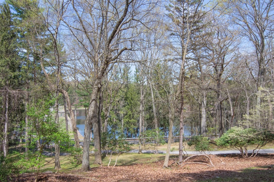 7 Cyrus Field Road Photo 3