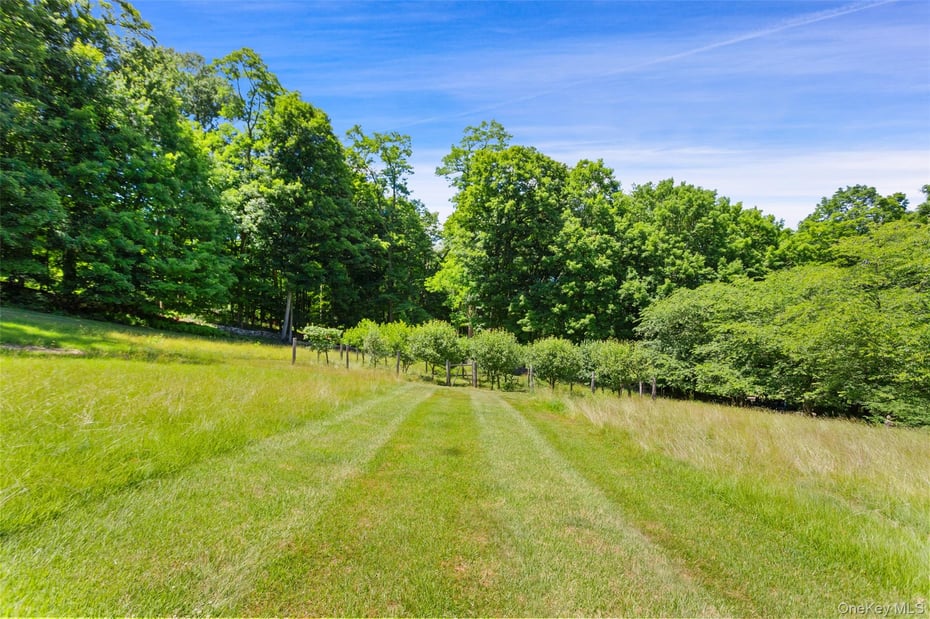 242 Croton Lake Road Photo 28
