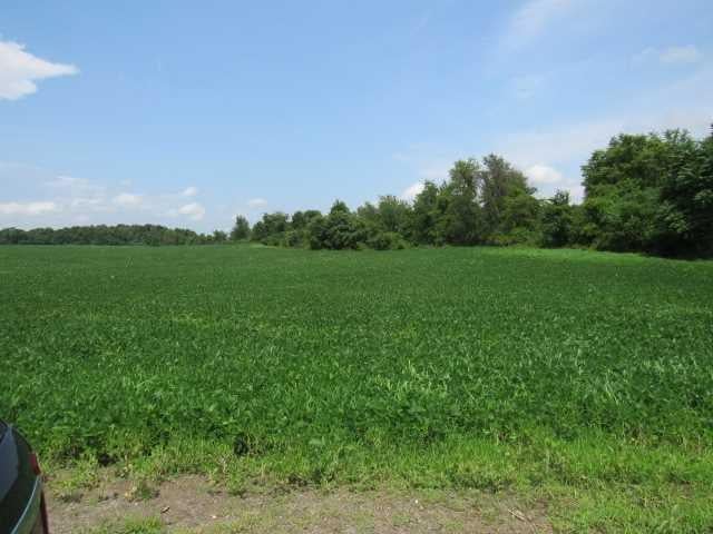 County Road 19 Photo 2