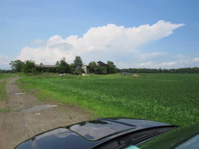 County Road 19 Photo 7