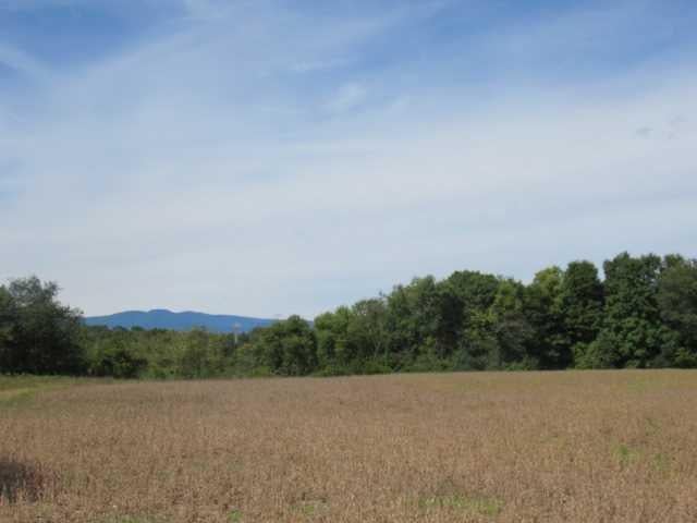 County Road 19 Photo 12