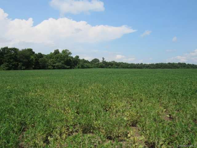 County Road 19 Photo 9