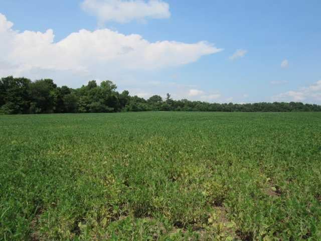 County Road 19 Photo 9