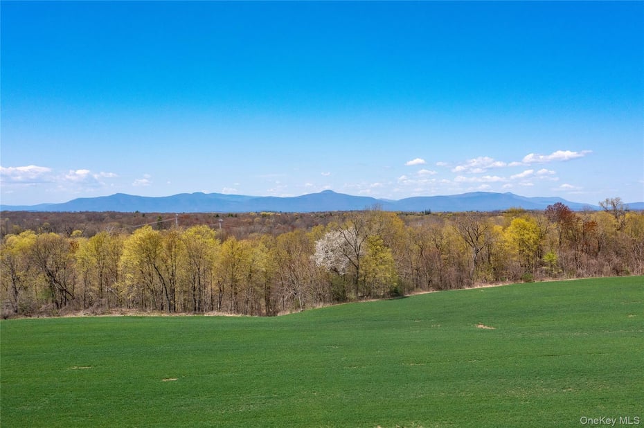 County Road 19 Photo 21