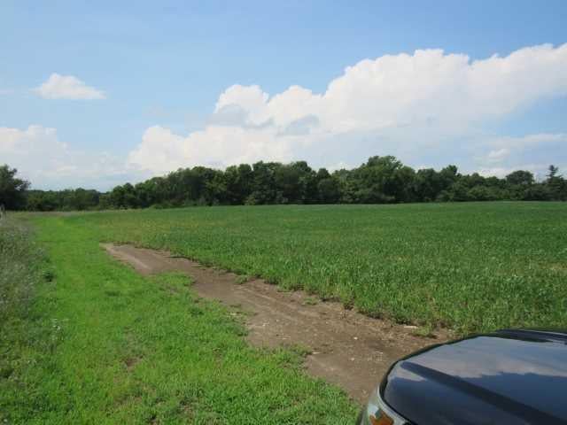 County Road 19 Photo 8