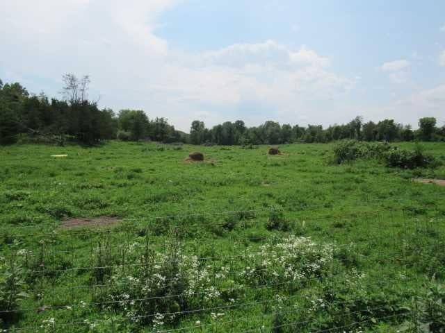 County Road 19 Photo 5