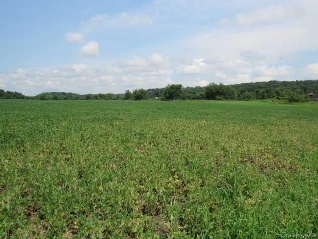 County Road 19 Photo 10