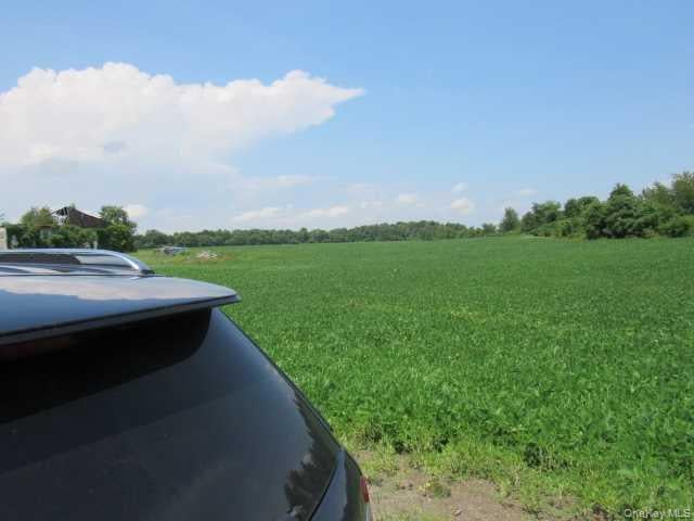 County Road 19 Photo 6