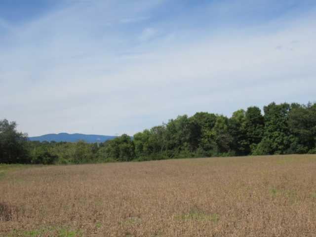 County Road 19 Photo 3