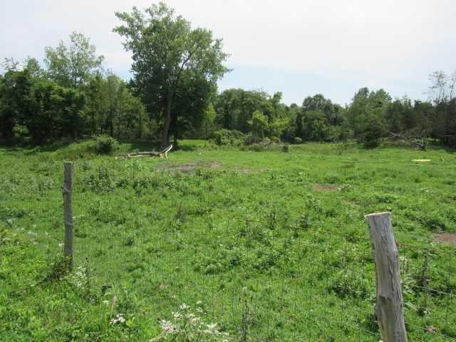 County Road 19 Photo 4